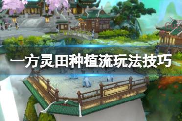 《一方灵田》种什么比较好