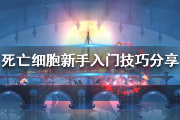 《死亡细胞》新手该怎么玩