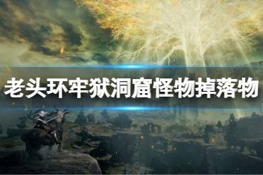 《艾尔登法环》牢狱洞窟怪物掉落物有什么
