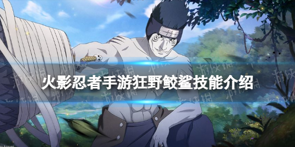 《火影忍者手游》狂野鲛鲨技能介绍