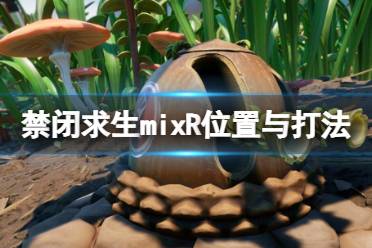 《禁闭求生》mixr在哪