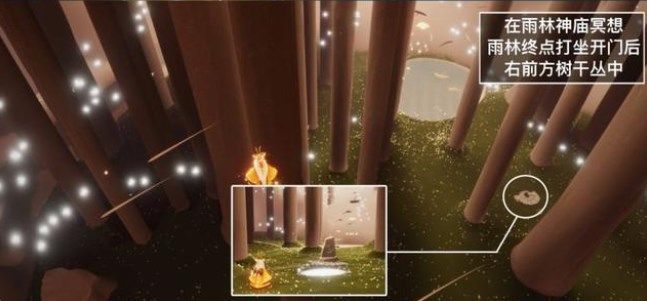 《光遇》雨林神庙冥想位置在哪