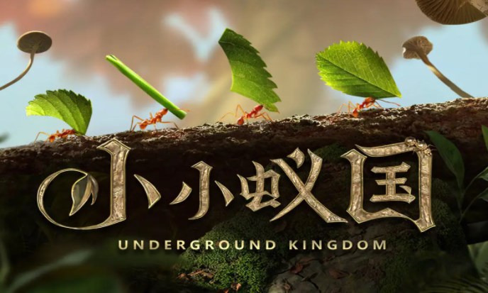 小小蚁国新手攻略