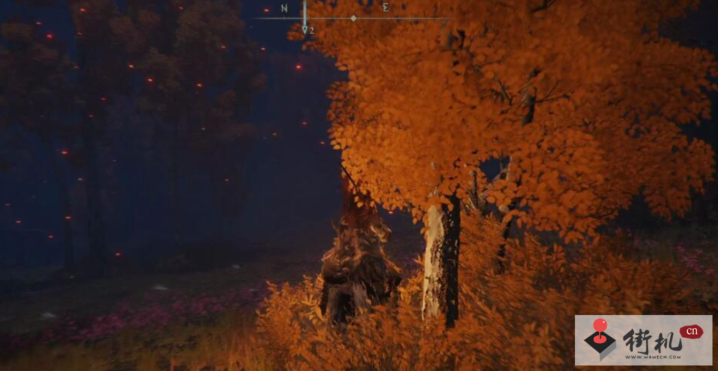 《艾尔登法环》废墟前说话的人攻略