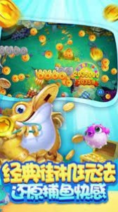 神殿娱乐咕咕猪 神殿娱乐咕咕猪